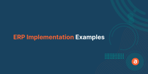 ERP Implementation Examples