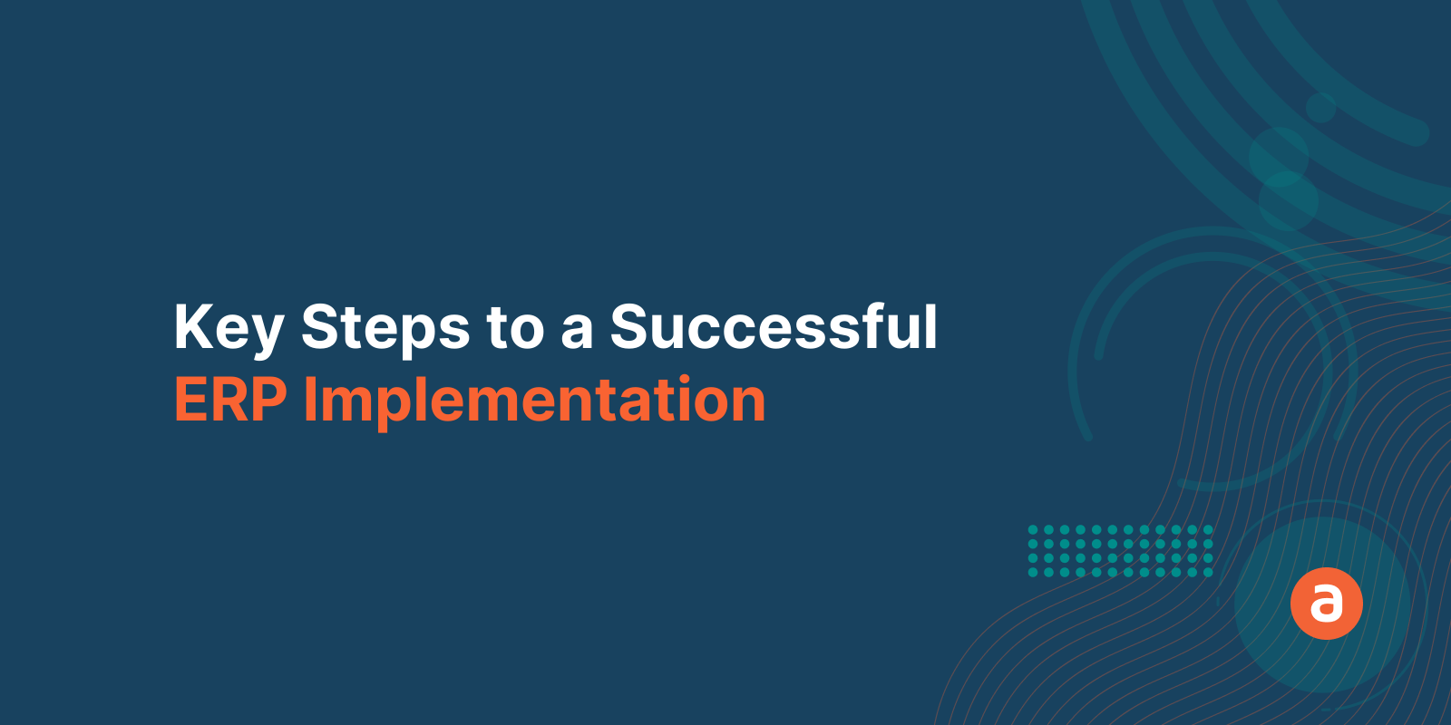 successful erp implementation case study